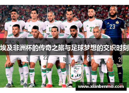 埃及非洲杯的传奇之旅与足球梦想的交织时刻