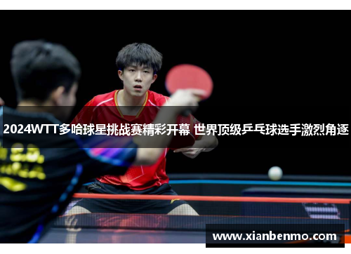 2024WTT多哈球星挑战赛精彩开幕 世界顶级乒乓球选手激烈角逐