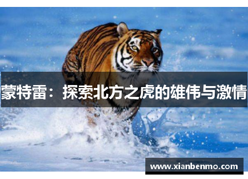 蒙特雷：探索北方之虎的雄伟与激情