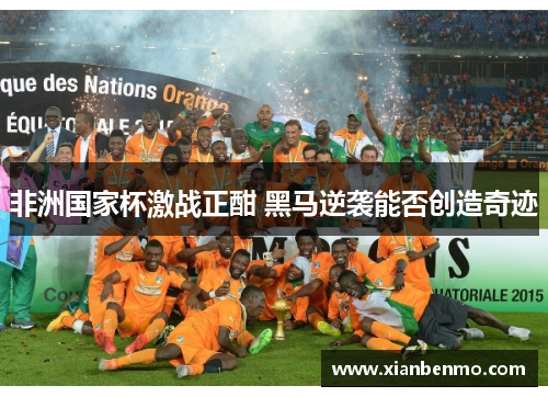 非洲国家杯激战正酣 黑马逆袭能否创造奇迹