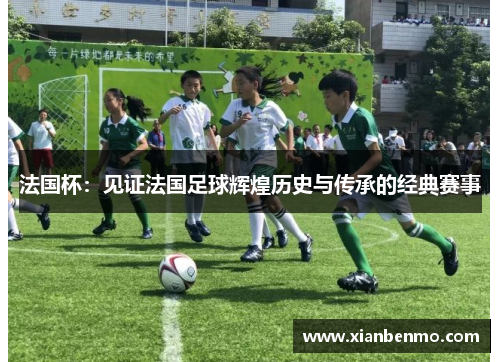 法国杯：见证法国足球辉煌历史与传承的经典赛事